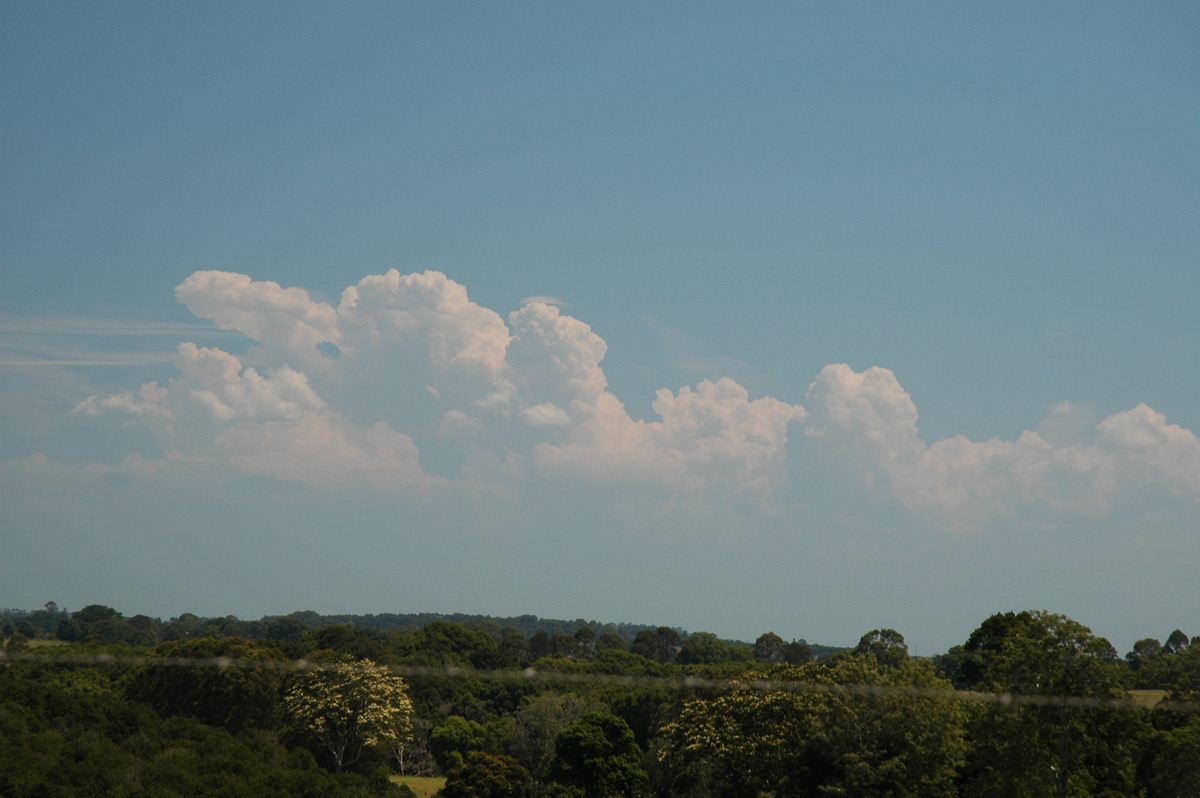 cumulus congestus : Kyogle, NSW   26 November 2006