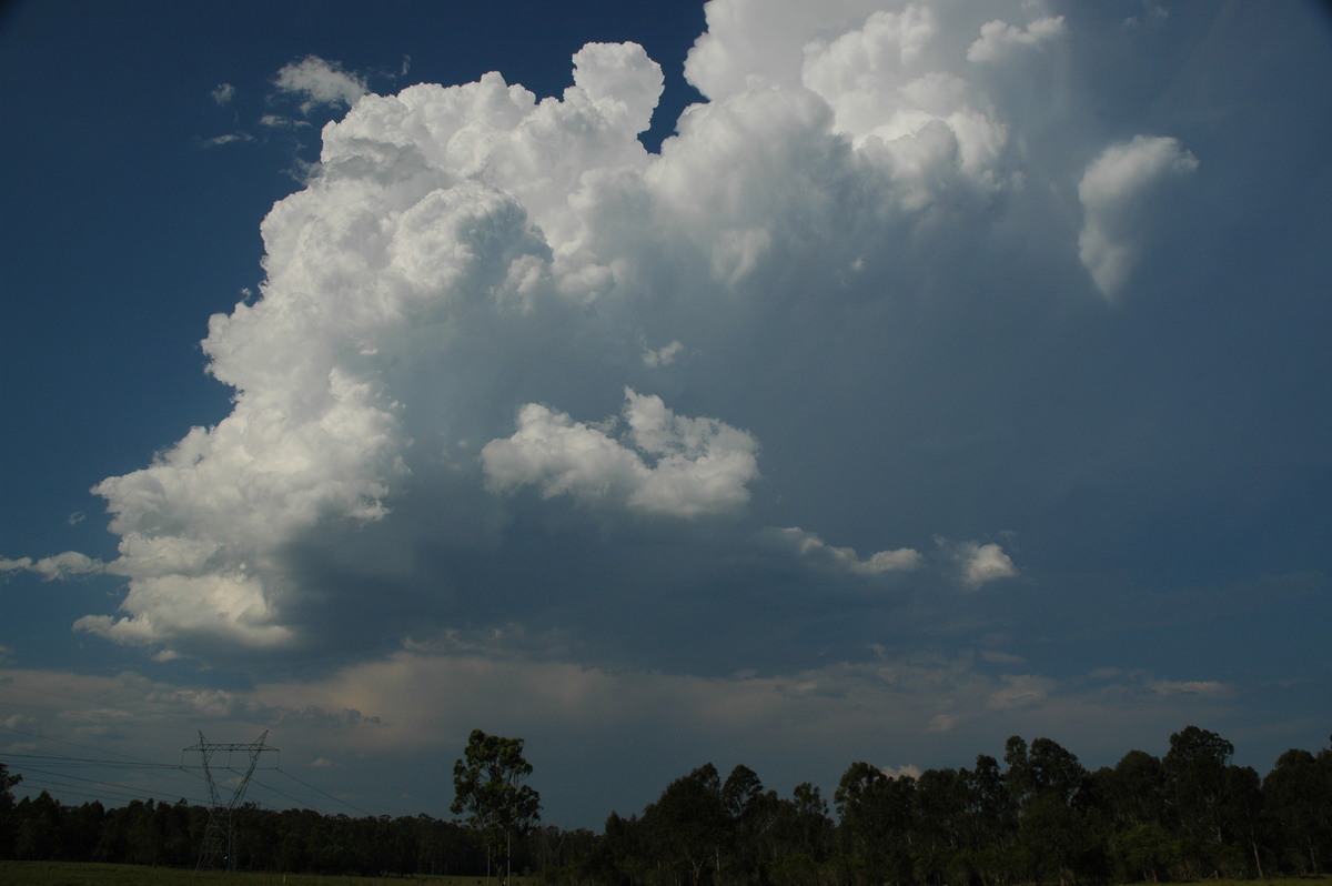 cumulus congestus : Myrtle Creek, NSW   26 November 2006