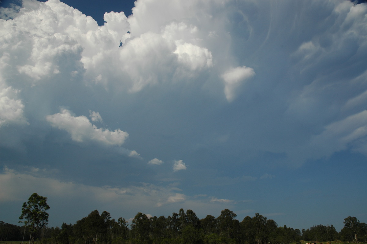 anvil thunderstorm_anvils : Myrtle Creek, NSW   26 November 2006