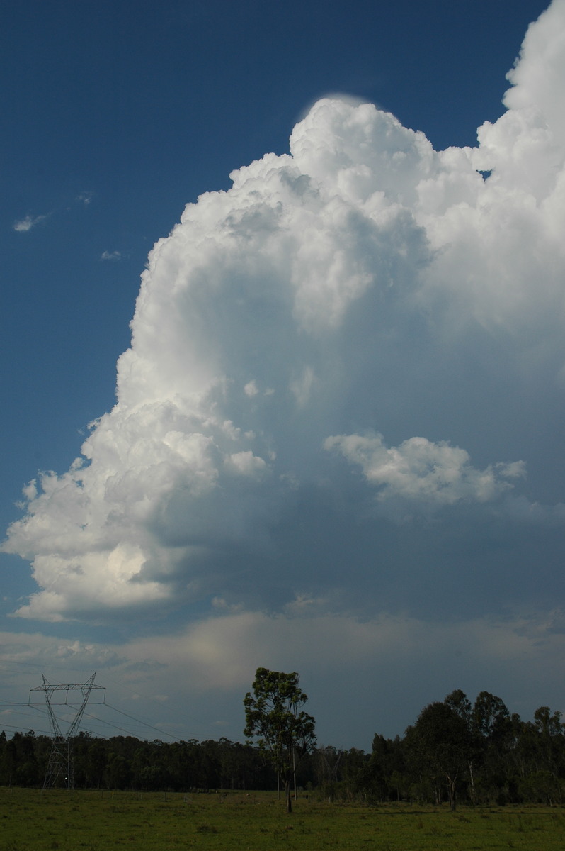 updraft thunderstorm_updrafts : Myrtle Creek, NSW   26 November 2006