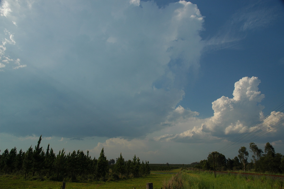 cumulus congestus : Coombell, NSW   26 November 2006