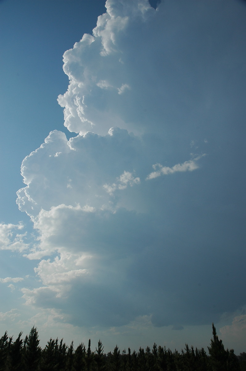 updraft thunderstorm_updrafts : Coombell, NSW   26 November 2006