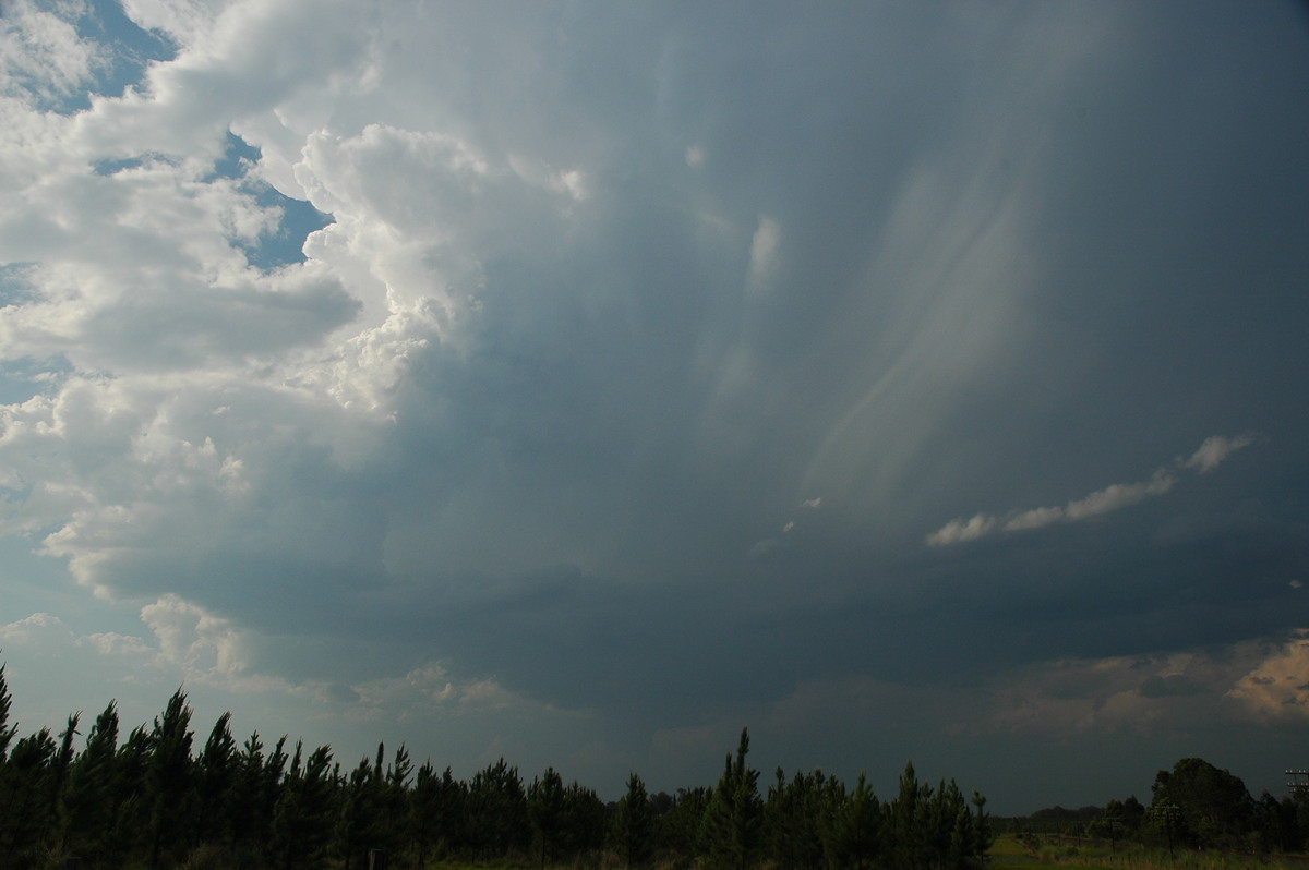 updraft thunderstorm_updrafts : Coombell, NSW   26 November 2006