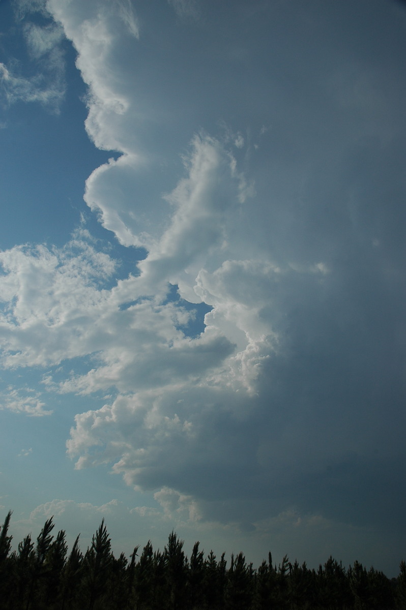 updraft thunderstorm_updrafts : Coombell, NSW   26 November 2006