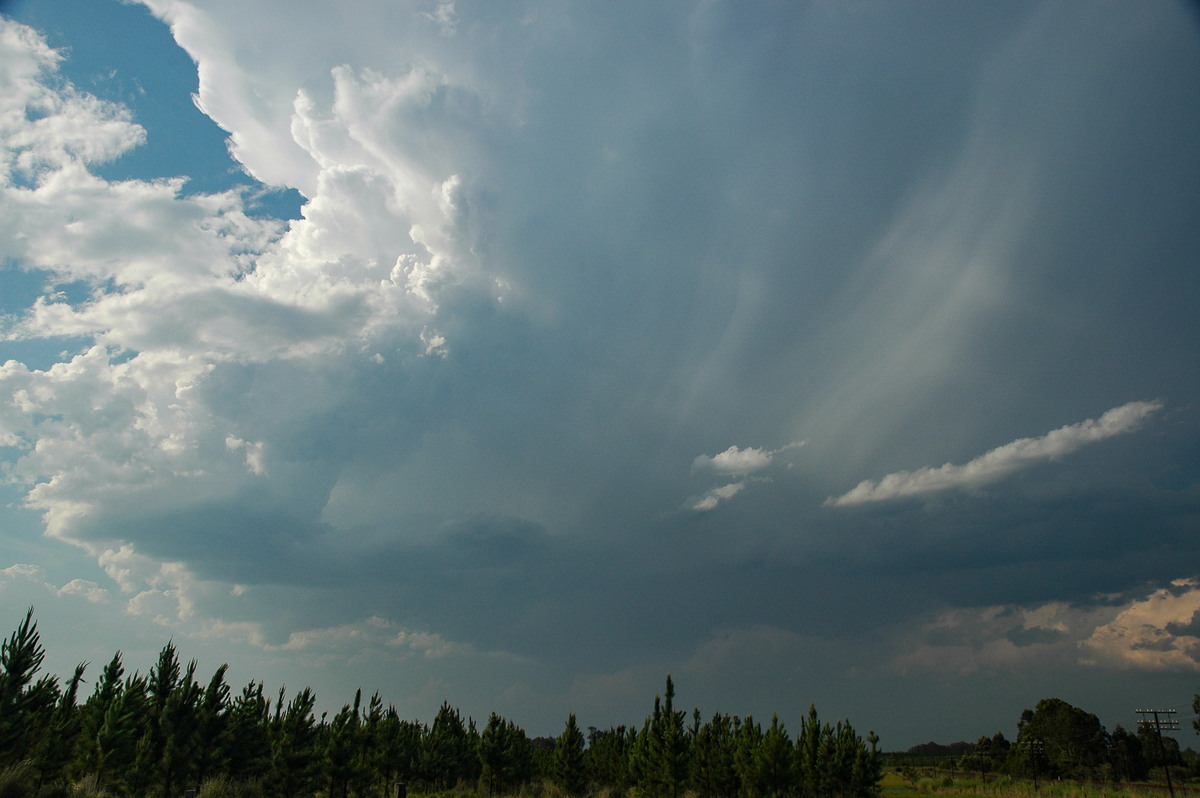 cumulonimbus thunderstorm_base : Coombell, NSW   26 November 2006