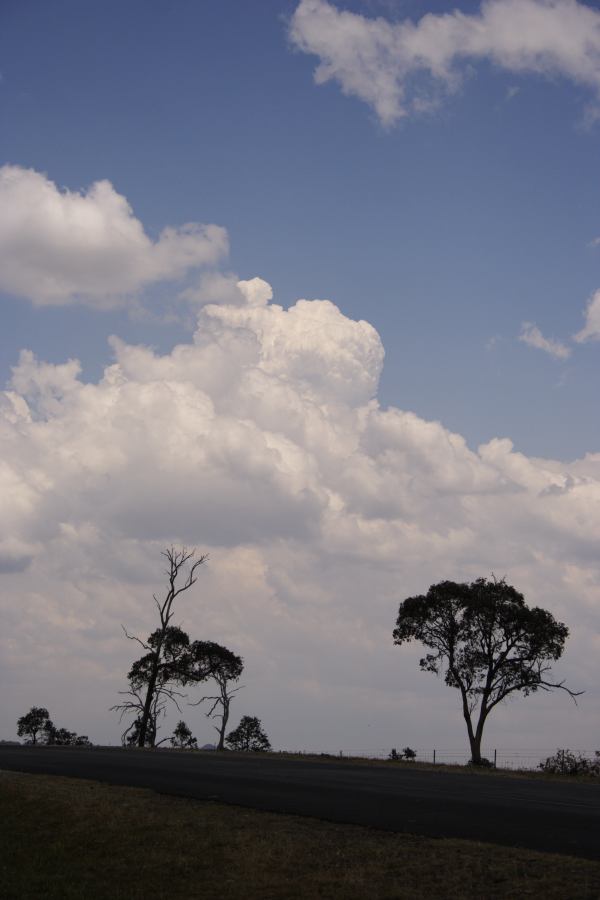 cumulus congestus : E of Guyra, NSW   27 November 2006