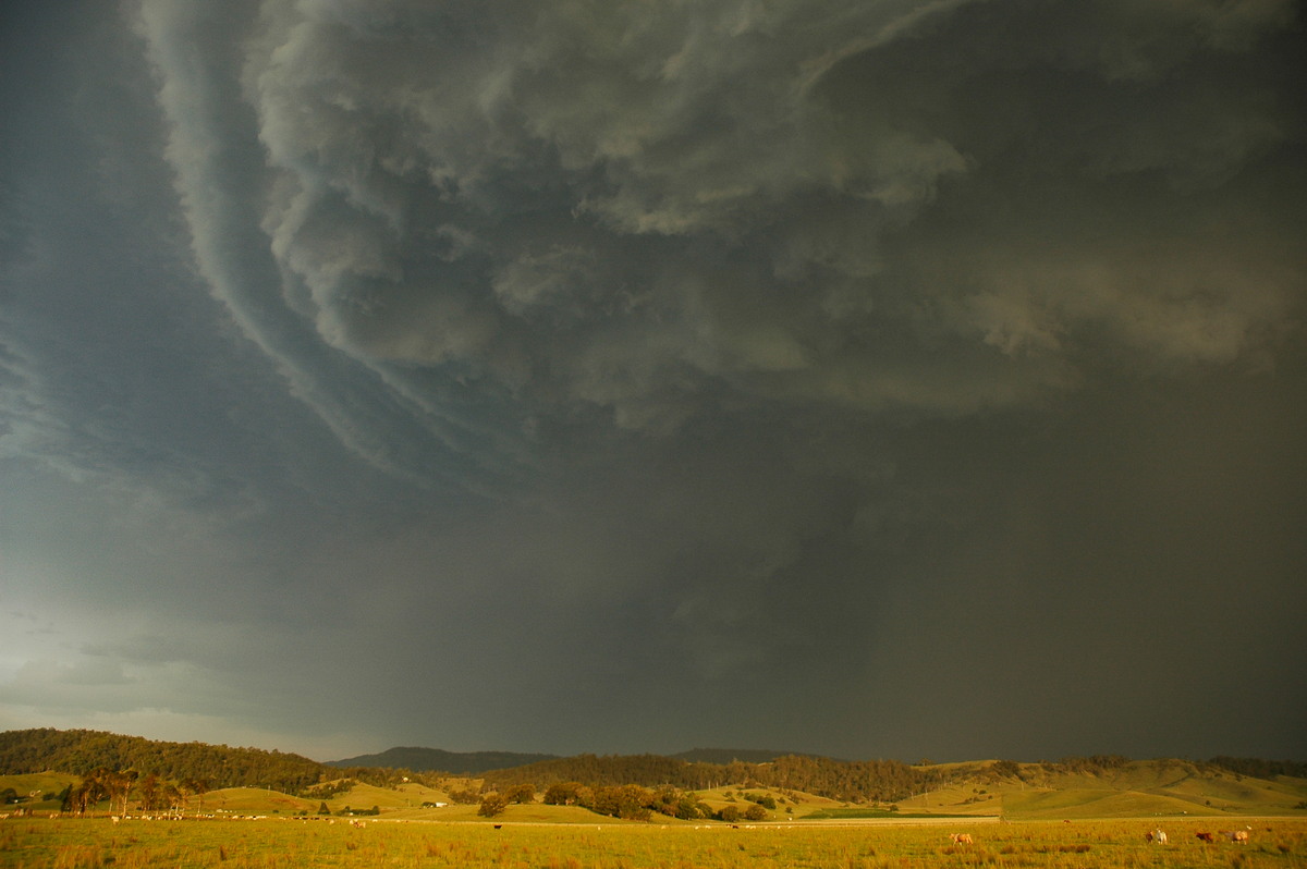 shelfcloud shelf_cloud : S of Kyogle, NSW   29 November 2006