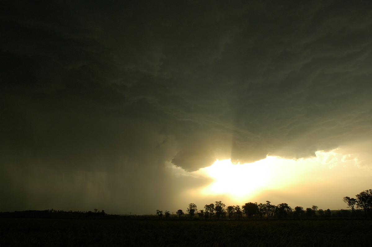 wallcloud thunderstorm_wall_cloud : S of Kyogle, NSW   29 November 2006