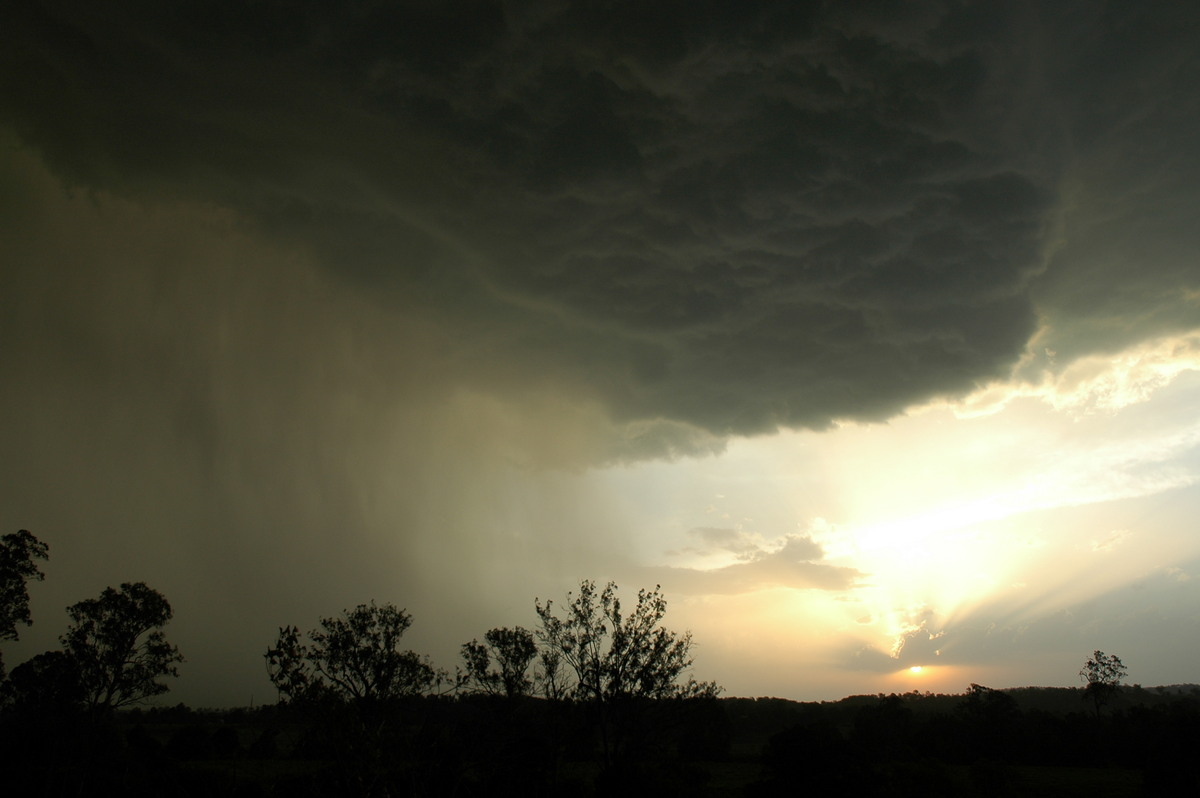 microburst micro_burst : Kyogle, NSW   29 November 2006