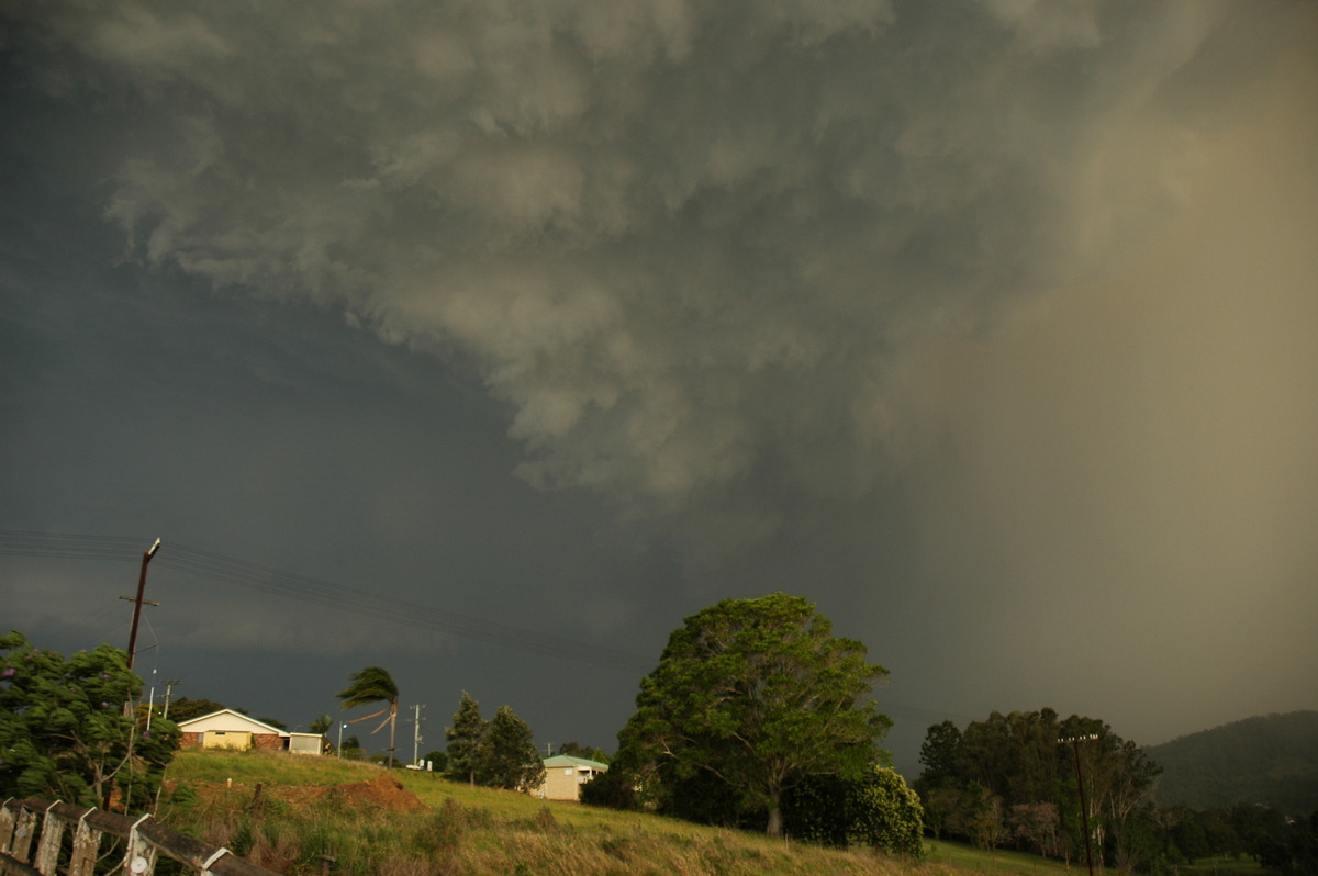 raincascade precipitation_cascade : Kyogle, NSW   29 November 2006