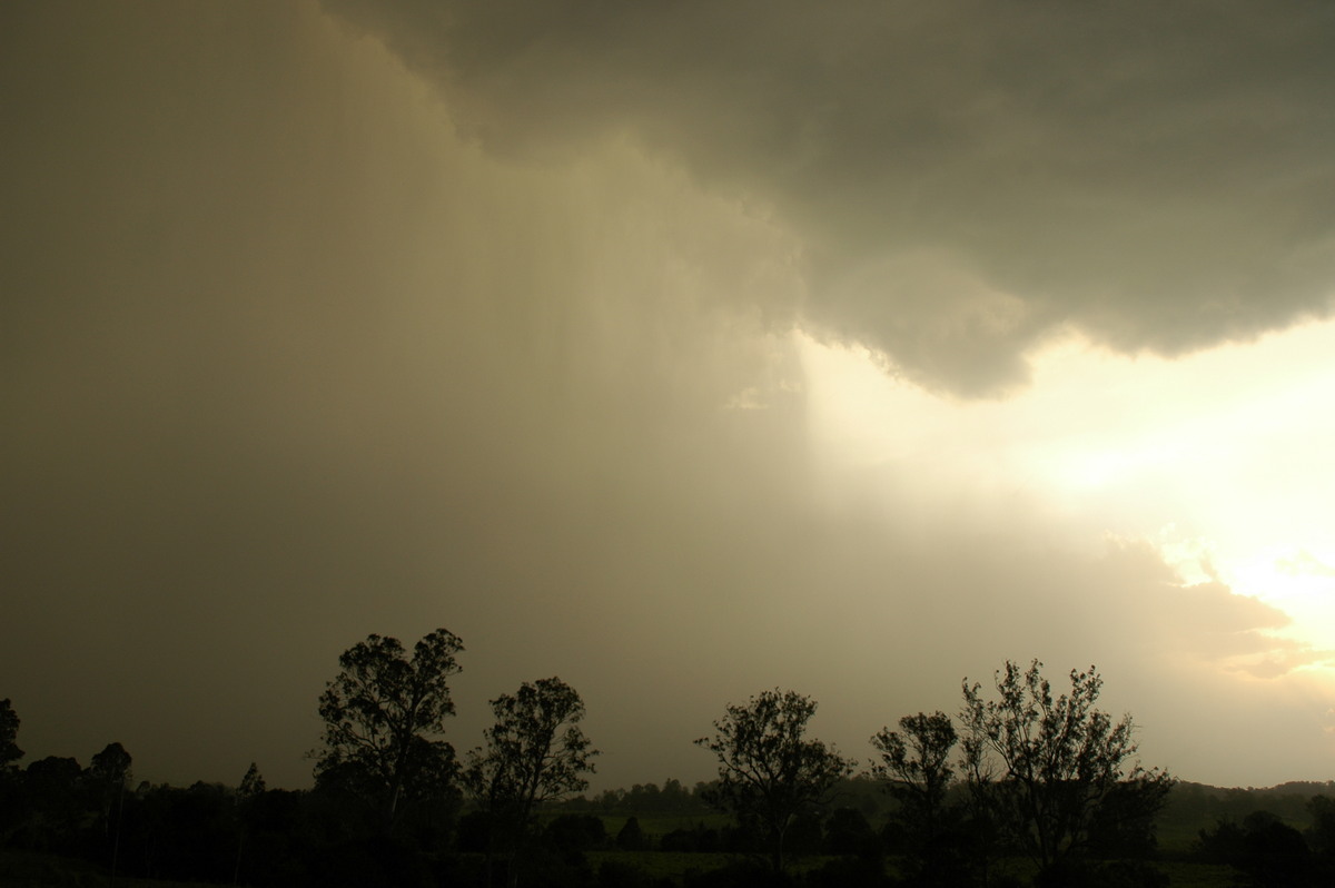 raincascade precipitation_cascade : Kyogle, NSW   29 November 2006