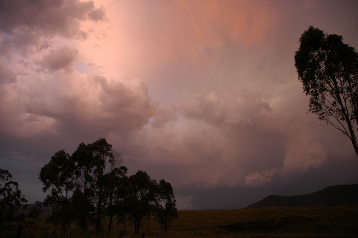 sunset sunset_pictures : Wiangaree, NSW   29 November 2006