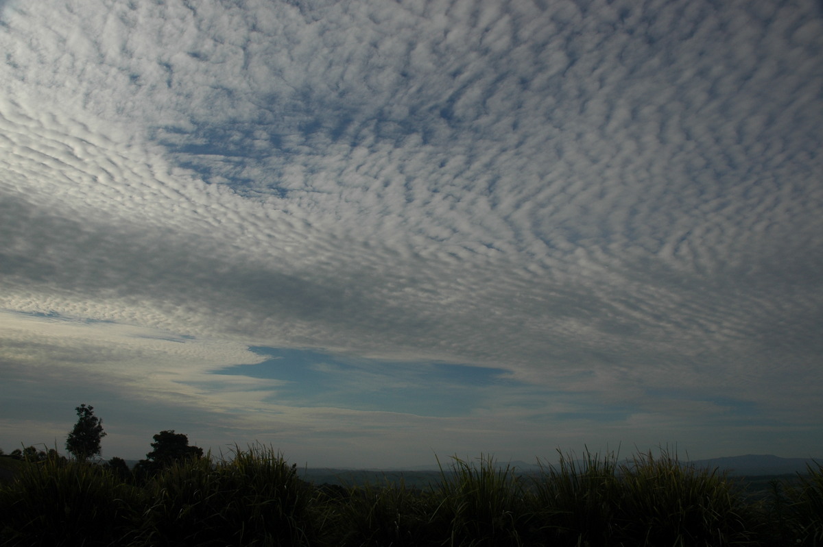 altocumulus mackerel_sky : McLeans Ridges, NSW   1 December 2006