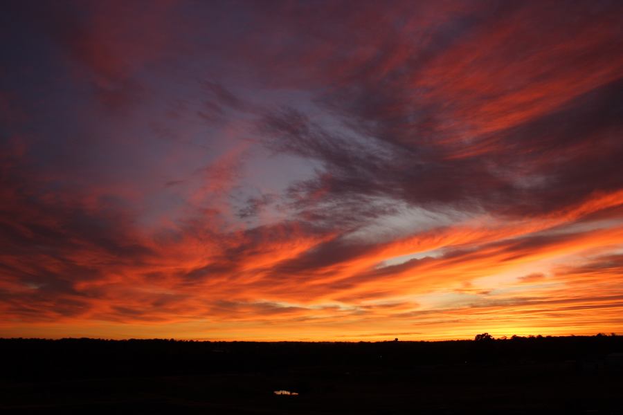 sunrise sunrise_pictures : Schofields, NSW   6 December 2006