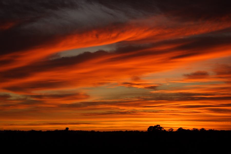 favourites jimmy_deguara : Schofields, NSW   6 December 2006