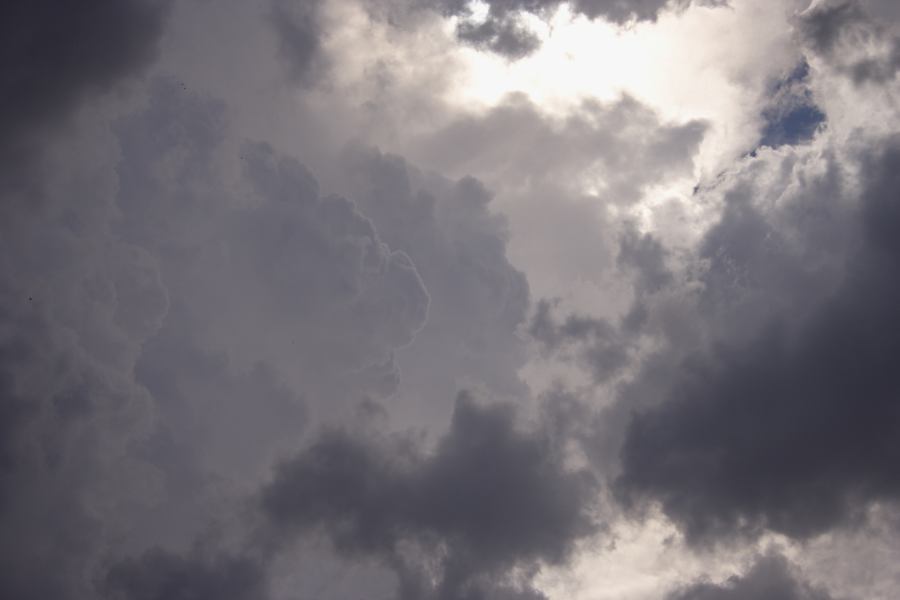 updraft thunderstorm_updrafts : Oberon, NSW   10 December 2006