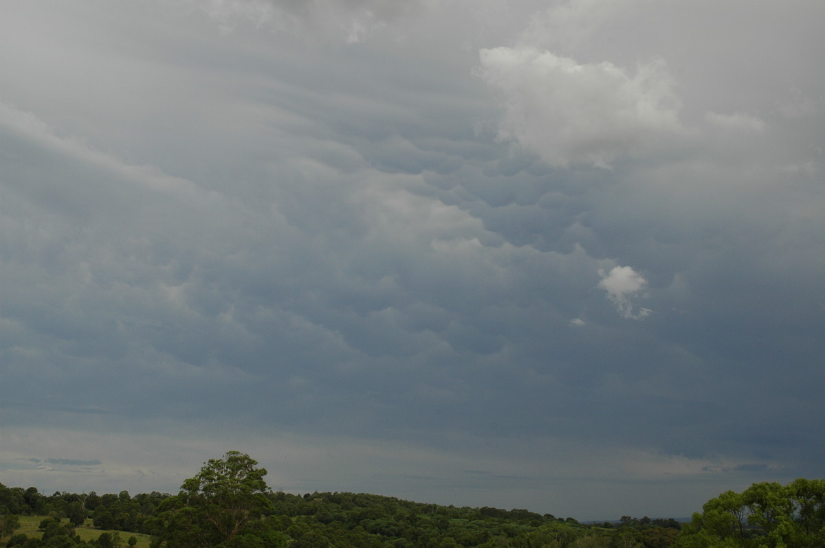 mammatus mammatus_cloud : near Coraki, NSW   14 December 2006