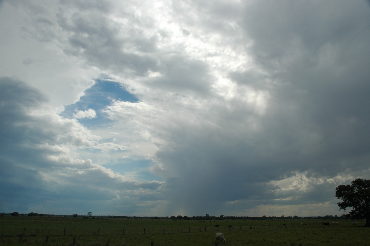 raincascade precipitation_cascade : McKees Hill, NSW   14 December 2006