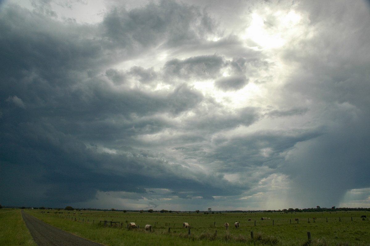 raincascade precipitation_cascade : McKees Hill, NSW   14 December 2006