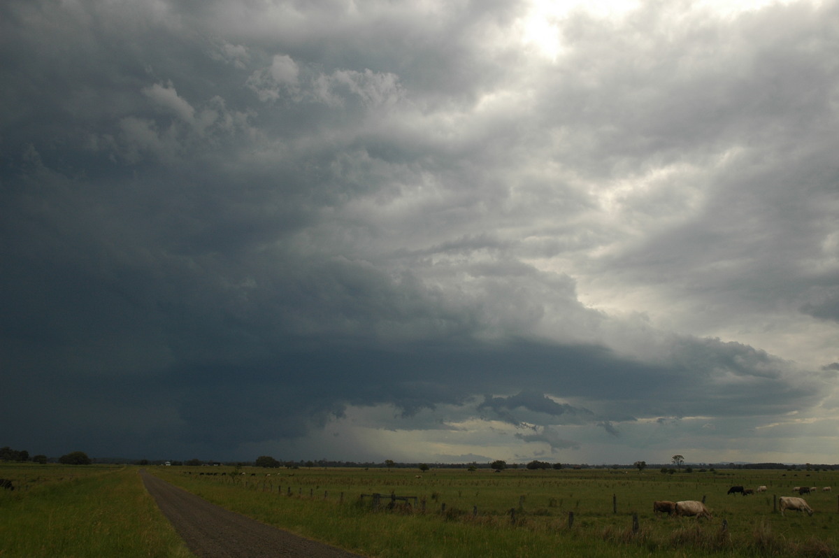 wallcloud thunderstorm_wall_cloud : McKees Hill, NSW   14 December 2006