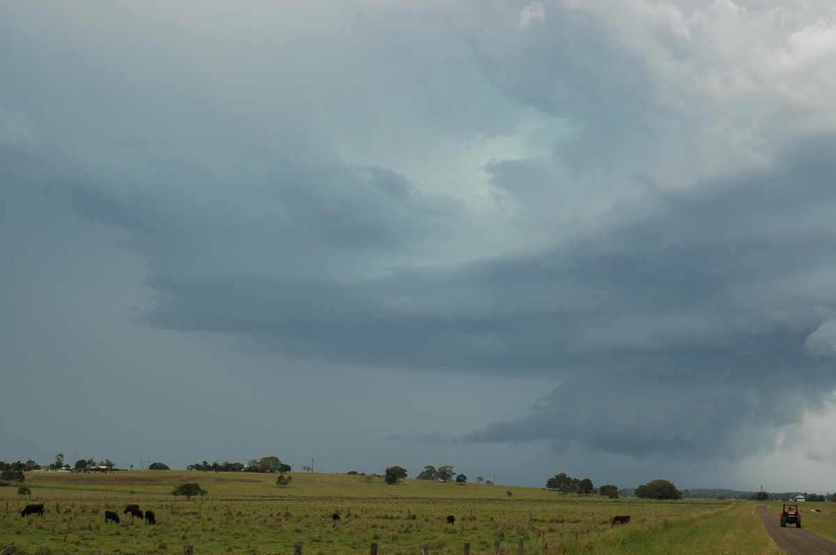 wallcloud thunderstorm_wall_cloud : McKees Hill, NSW   14 December 2006