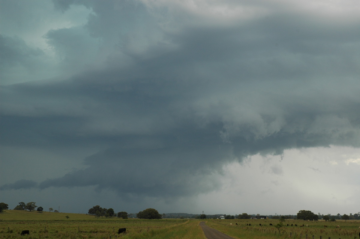 cumulonimbus supercell_thunderstorm : McKees Hill, NSW   14 December 2006