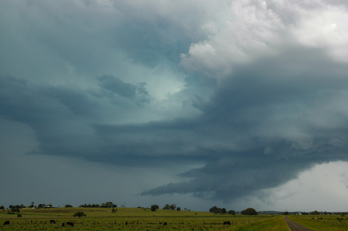 wallcloud thunderstorm_wall_cloud : McKees Hill, NSW   14 December 2006