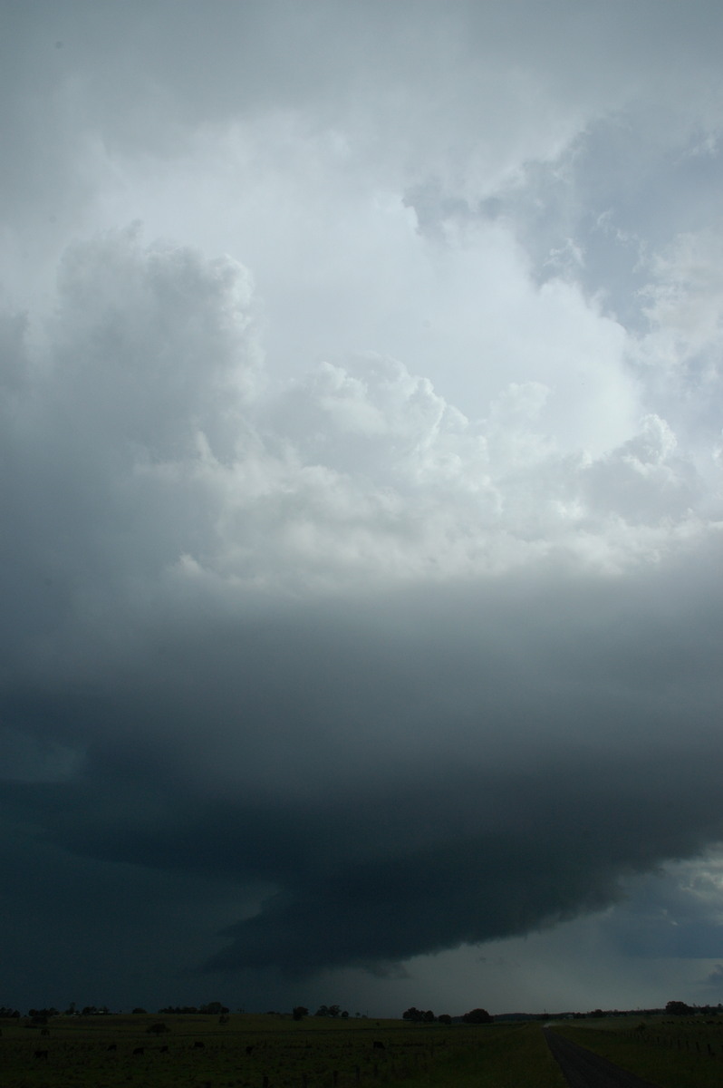 updraft thunderstorm_updrafts : McKees Hill, NSW   14 December 2006