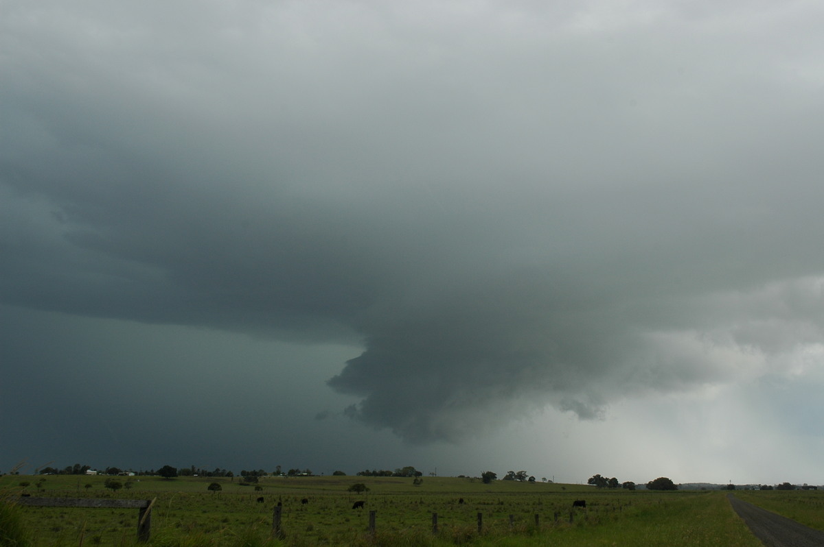 wallcloud thunderstorm_wall_cloud : McKees Hill, NSW   14 December 2006