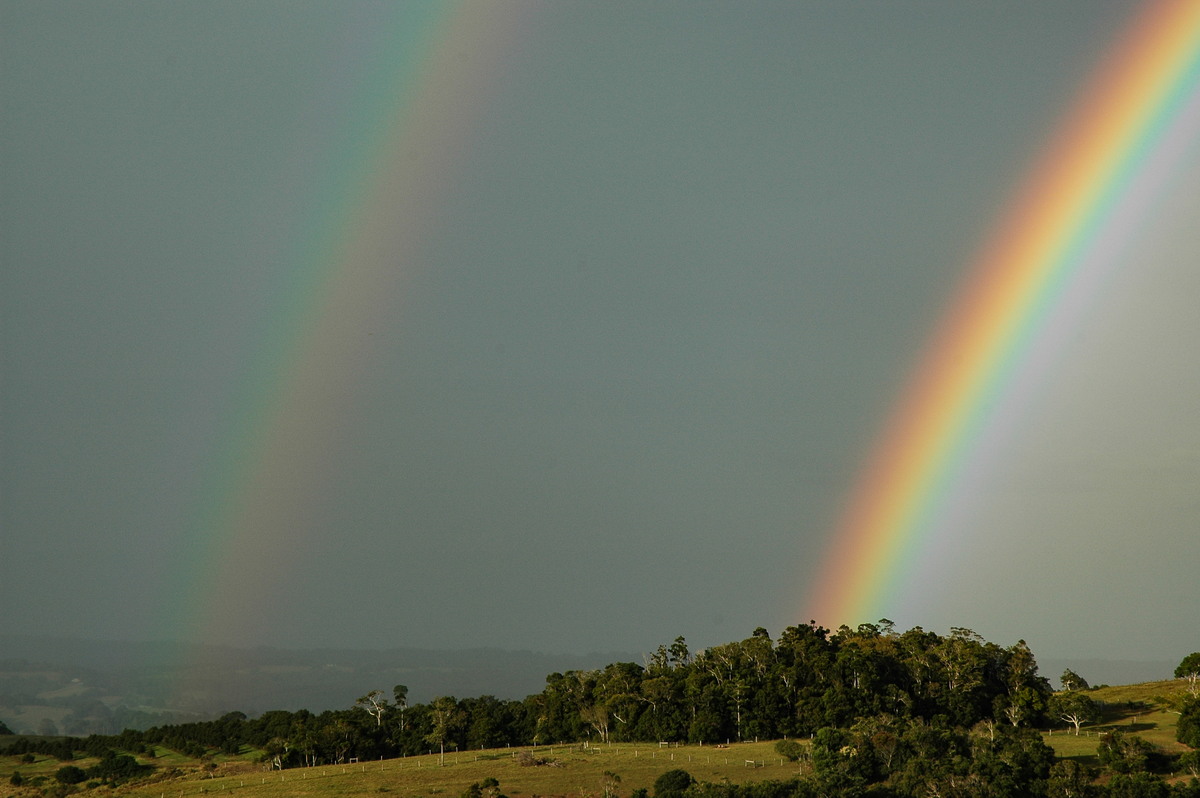 favourites michael_bath : McLeans Ridges, NSW   14 December 2006