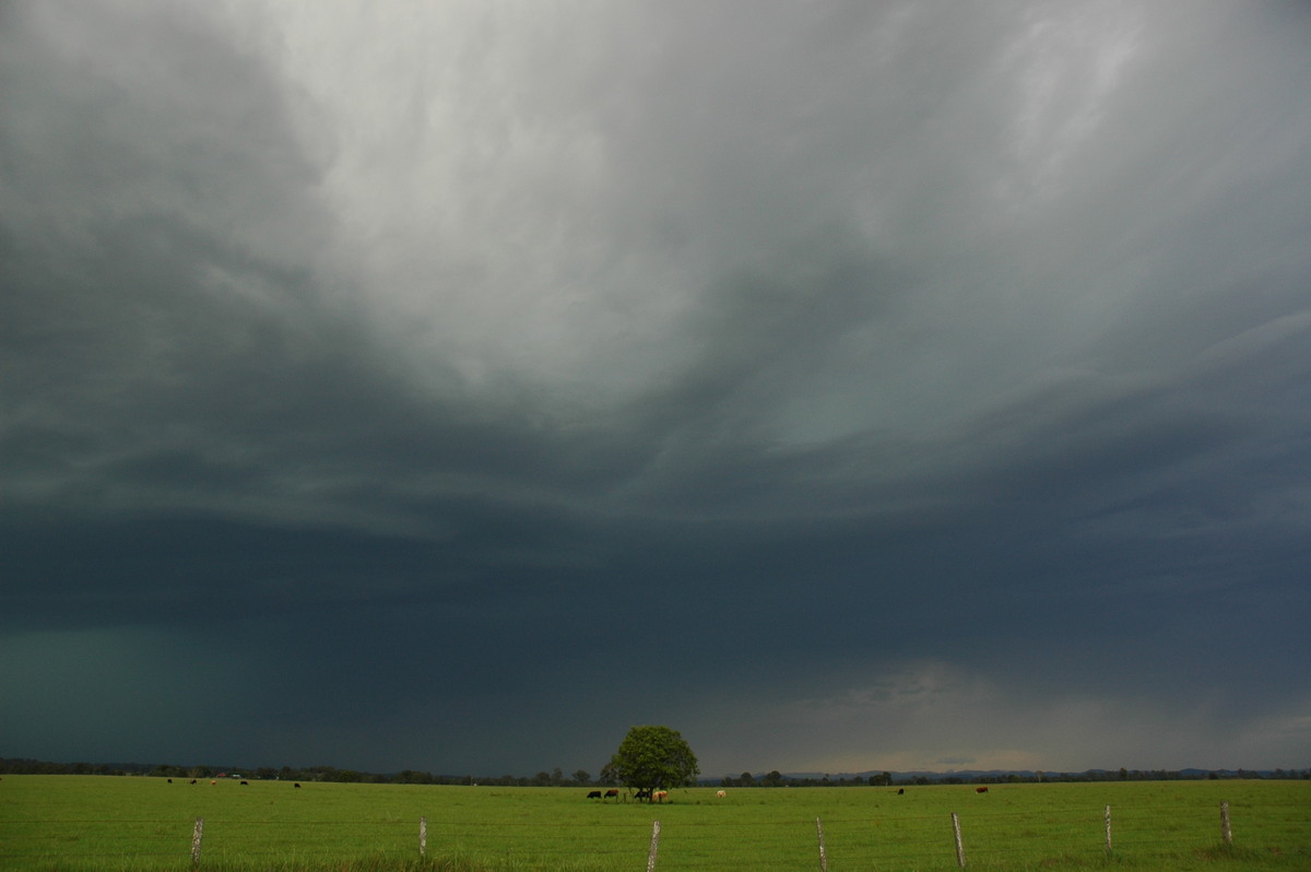 cumulonimbus thunderstorm_base : N of Casino, NSW   15 December 2006