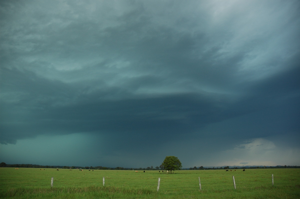 raincascade precipitation_cascade : N of Casino, NSW   15 December 2006