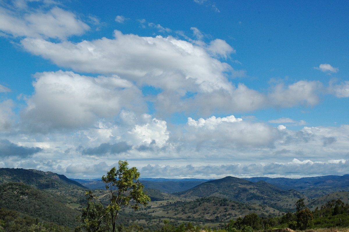 cumulus mediocris : W of Tenterfield, NSW   16 December 2006