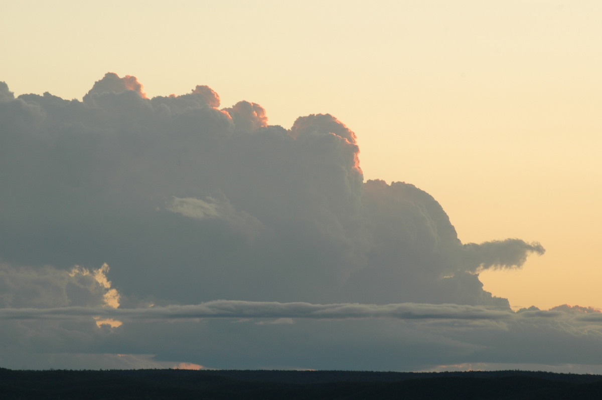 cumulus congestus : near Texas, QLD   16 December 2006