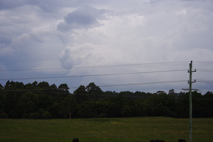 thunderstorm cumulonimbus_calvus : Booral, NSW   24 December 2006