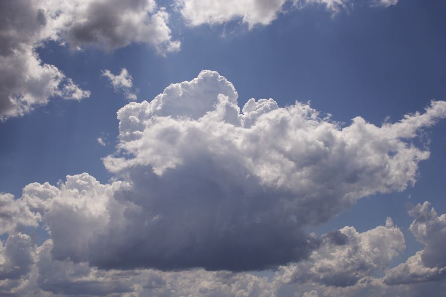 cumulus mediocris : Mittagong, NSW   28 December 2006