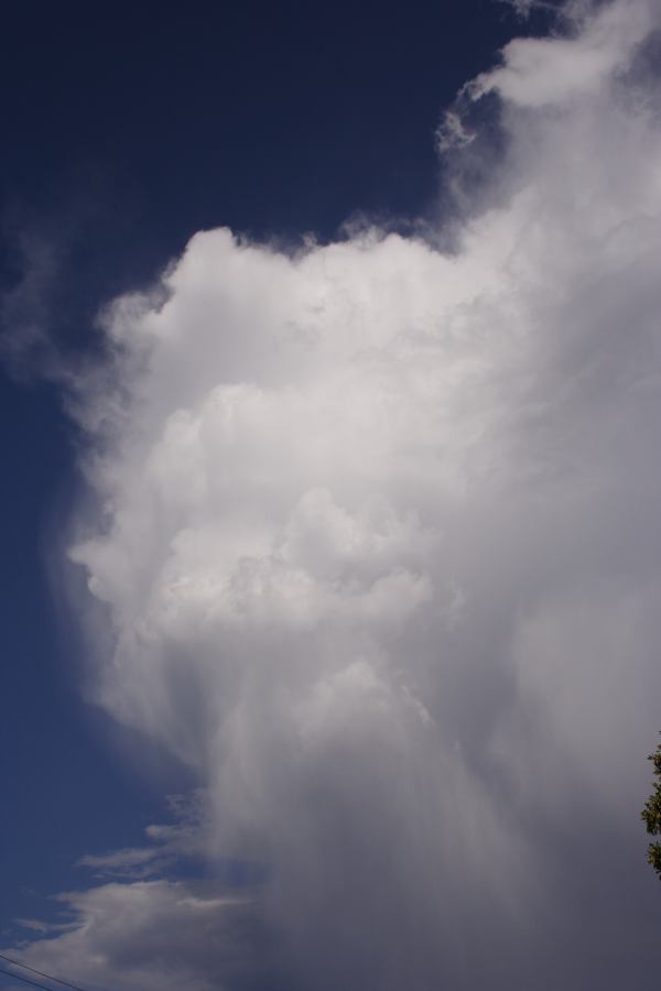 updraft thunderstorm_updrafts : Thirlmere, NSW   28 December 2006