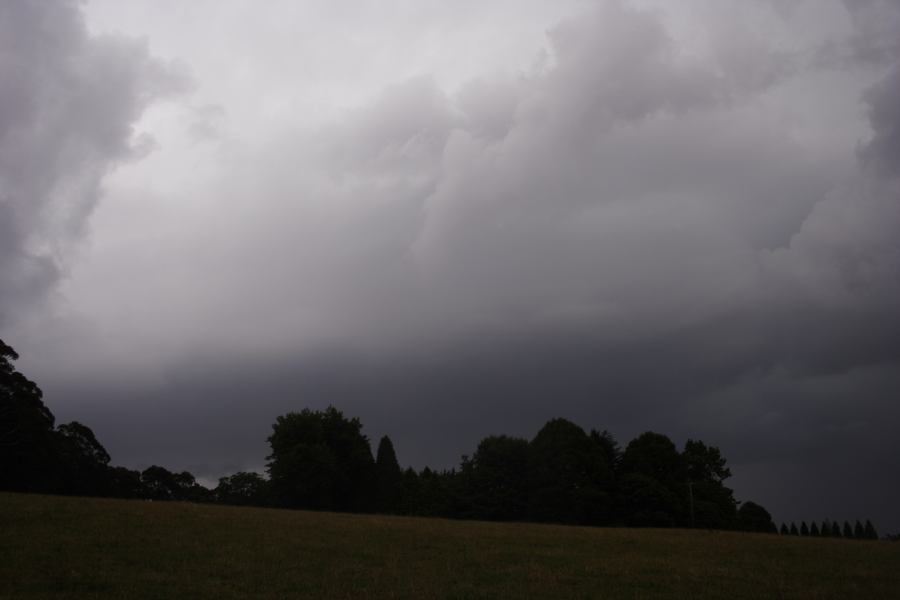 cumulonimbus thunderstorm_base : Mt Irvine, NSW   29 December 2006