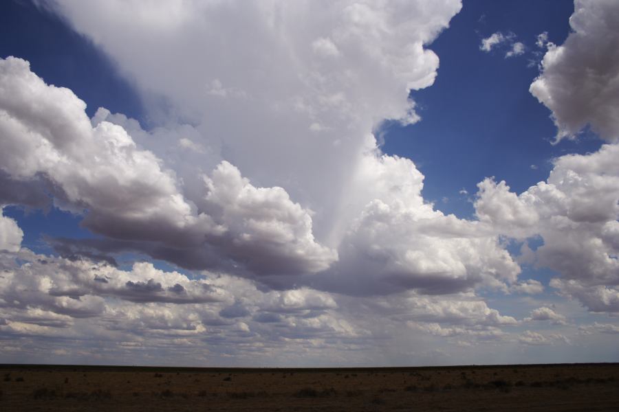 thunderstorm cumulonimbus_incus : 20km E of Hay, NSW   31 December 2006