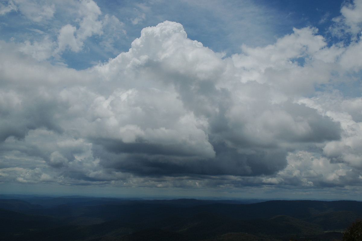 cumulus congestus : near Ebor, NSW   31 December 2006