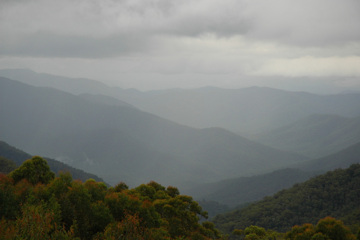 raincascade precipitation_cascade : E of Glen Innes, NSW   31 December 2006