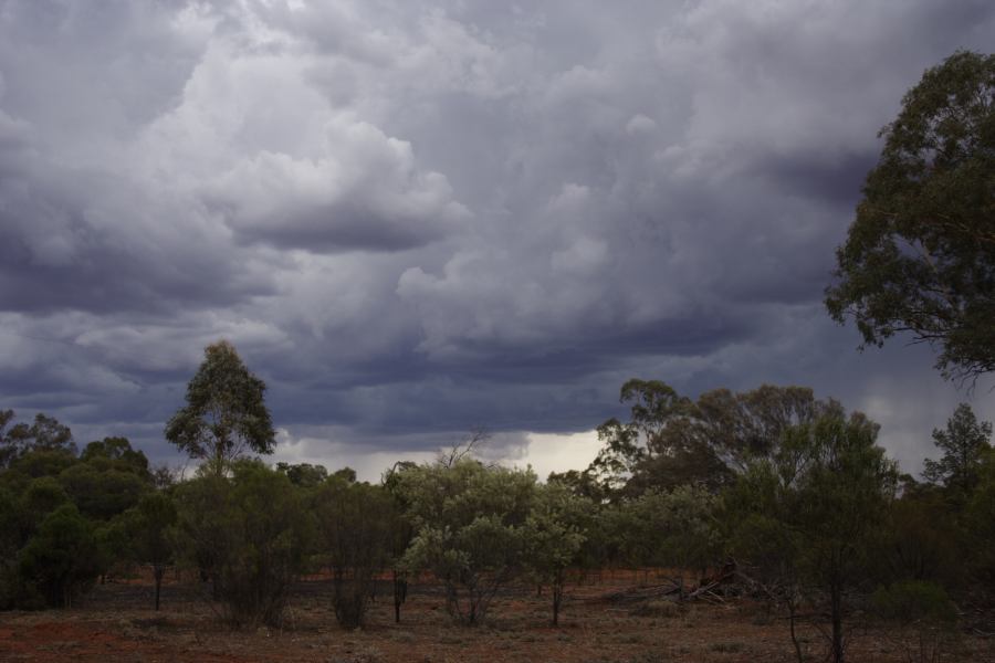 cumulonimbus thunderstorm_base : 30km E of Cobar, NSW   1 January 2007