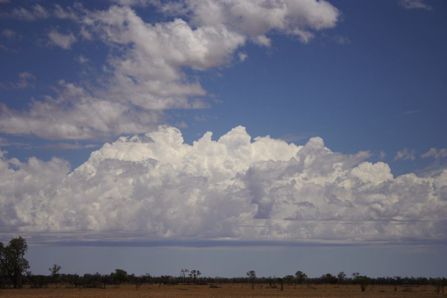 altocumulus castellanus : ~20km N of Barringun, NSW   2 January 2007