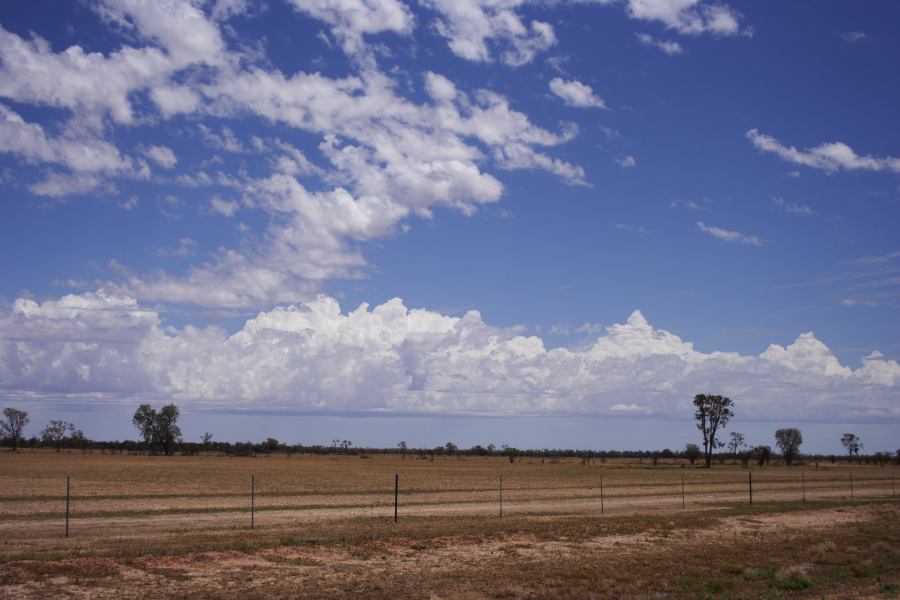 altocumulus castellanus : ~20km N of Barringun, NSW   2 January 2007