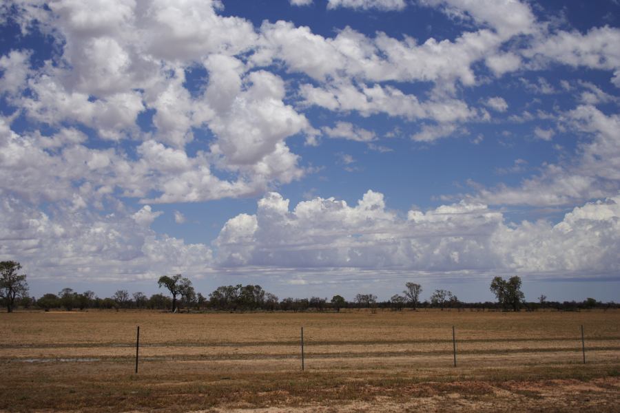 cumulus congestus : ~20km N of Barringun, NSW   2 January 2007