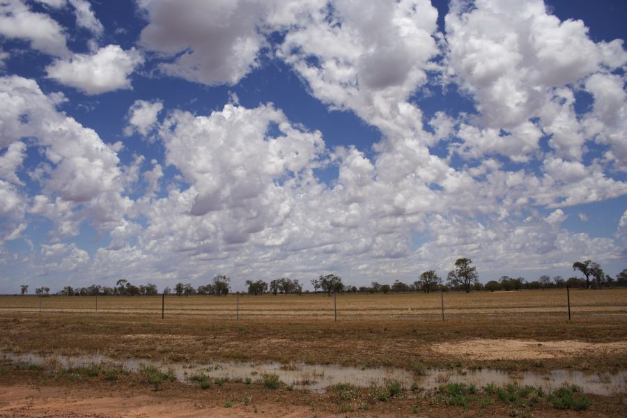 favourites jimmy_deguara : ~20km N of Barringun, NSW   2 January 2007