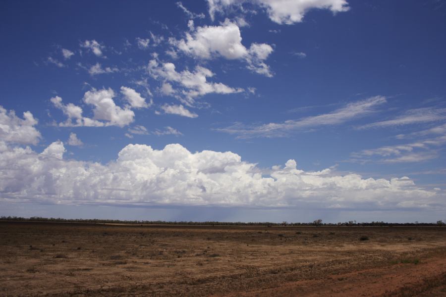 thunderstorm cumulonimbus_calvus : ~20km N of Barringun, NSW   2 January 2007