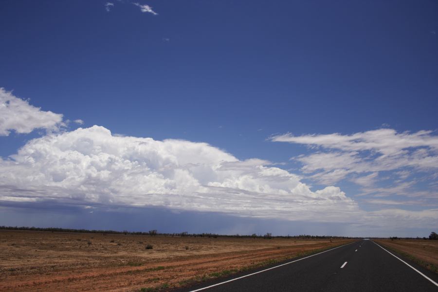 thunderstorm cumulonimbus_incus : ~20km N of Barringun, NSW   2 January 2007