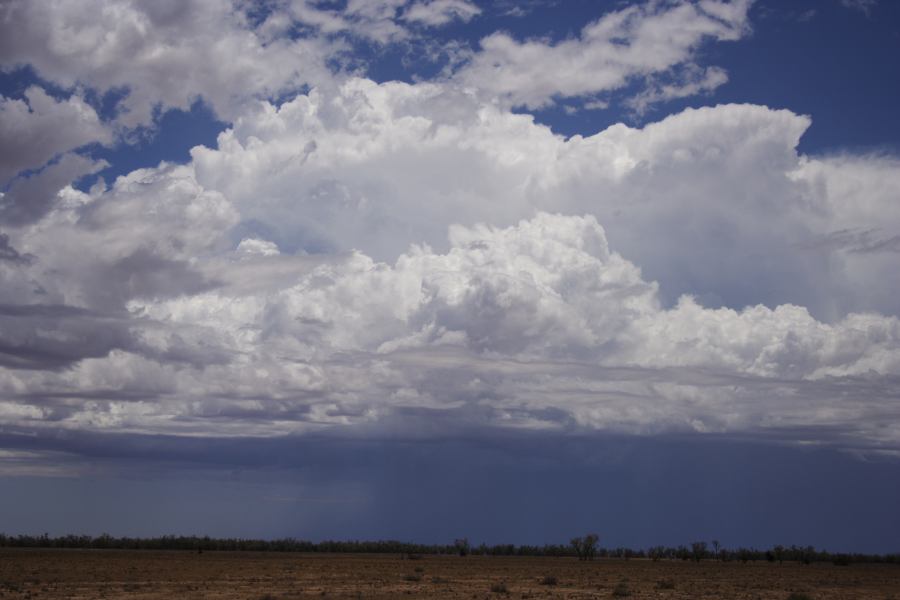 raincascade precipitation_cascade : ~20km N of Barringun, NSW   2 January 2007