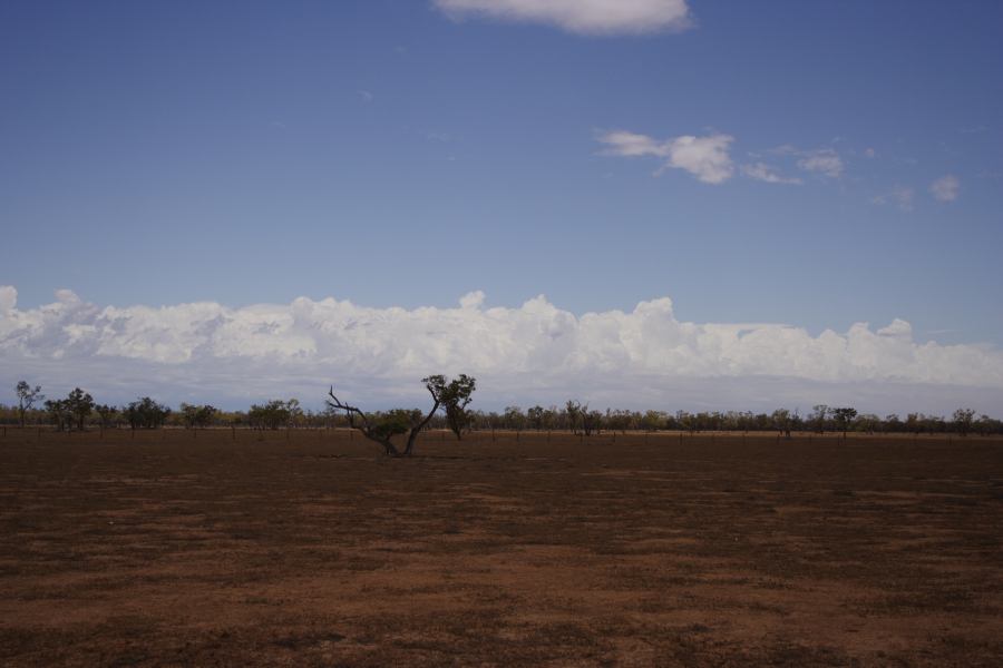 cumulus congestus : ~20km N of Barringun, NSW   2 January 2007